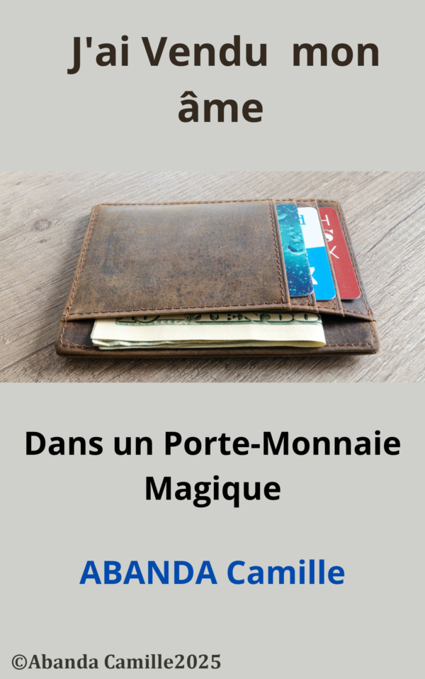 ABANDA Camille, livres, histoires, J'ai Vendu mon Âme dans un Porte-monnaie Magique