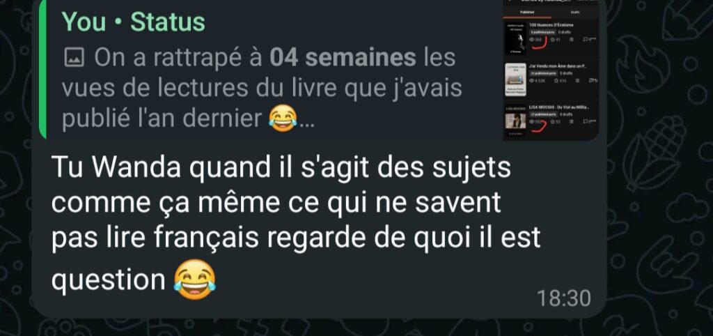 100 Nuances d'Erotisme